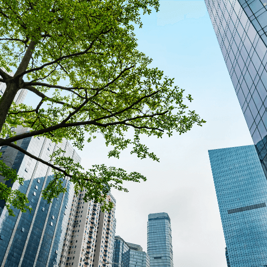 Fonds d’investissements immobiliers